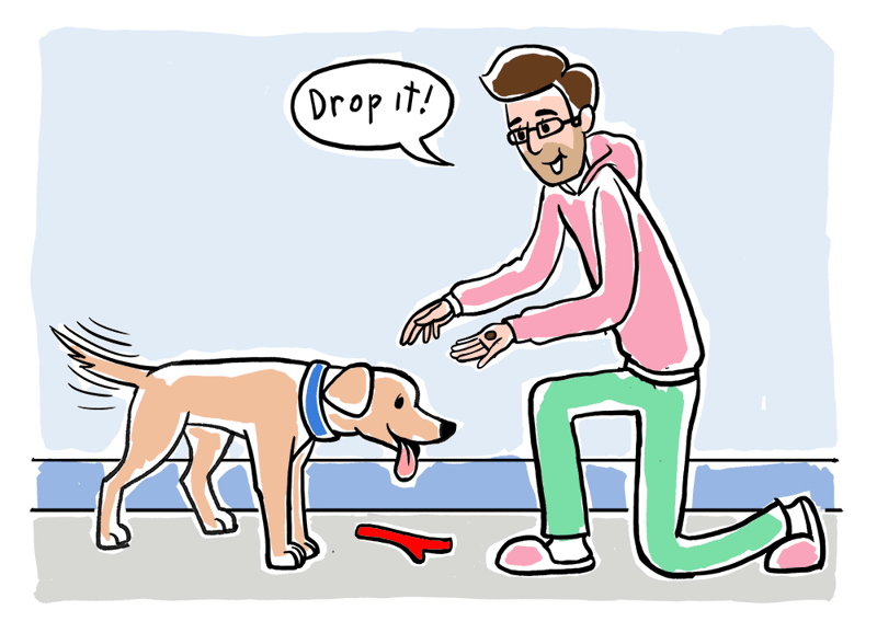 how to teach a dog to drop a toy